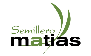 SEMILLERO MATIAS